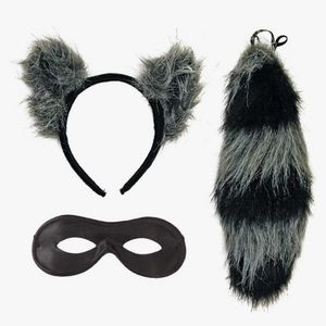 Raccoon Bandit Costume